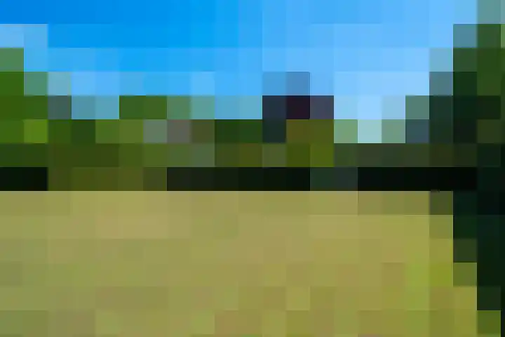 Hoofdweg 15 Froombosch thumbnail 65