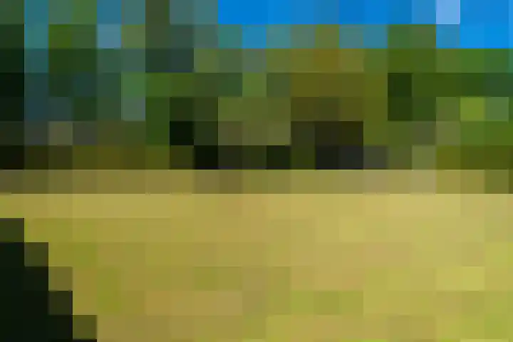 Hoofdweg 15 Froombosch thumbnail 66
