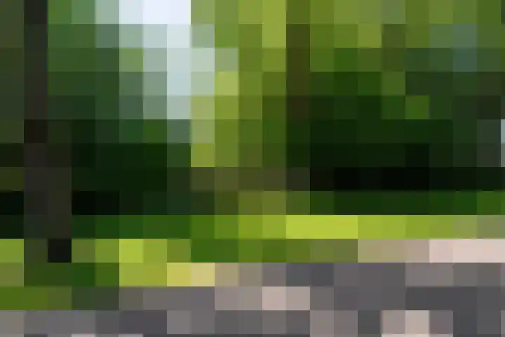 Hoofdweg 15 Froombosch thumbnail 67