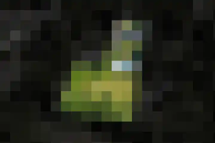 Hoofdweg 15 Froombosch thumbnail 68