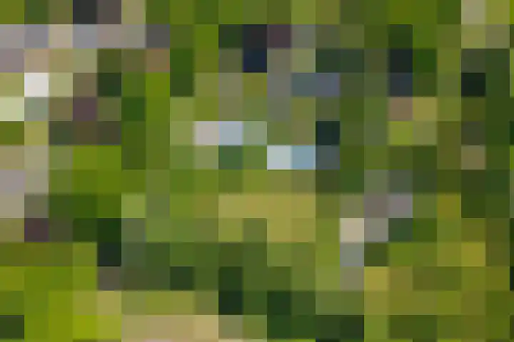 Hoofdweg 15 Froombosch thumbnail 69