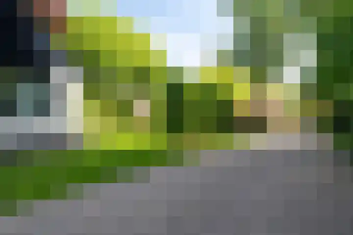 Hoofdweg 15 Froombosch thumbnail 9