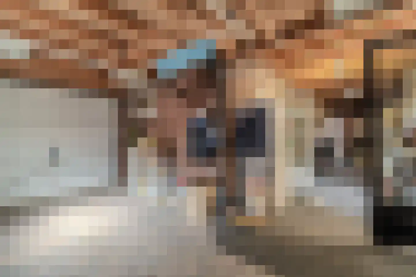 Hoofdweg 152 A Midwolda thumbnail 38