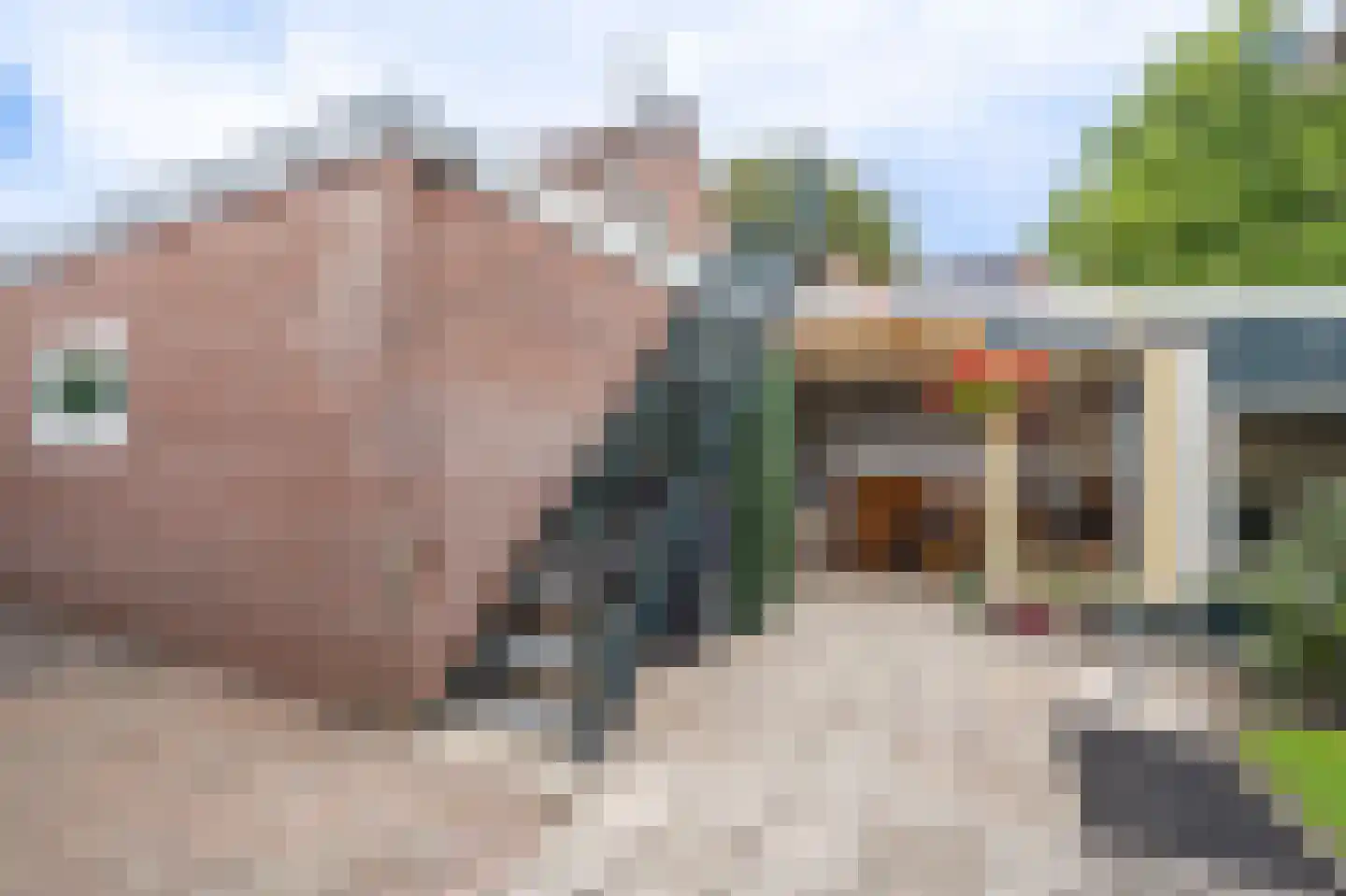 Hoofdweg 152 A Midwolda thumbnail 39