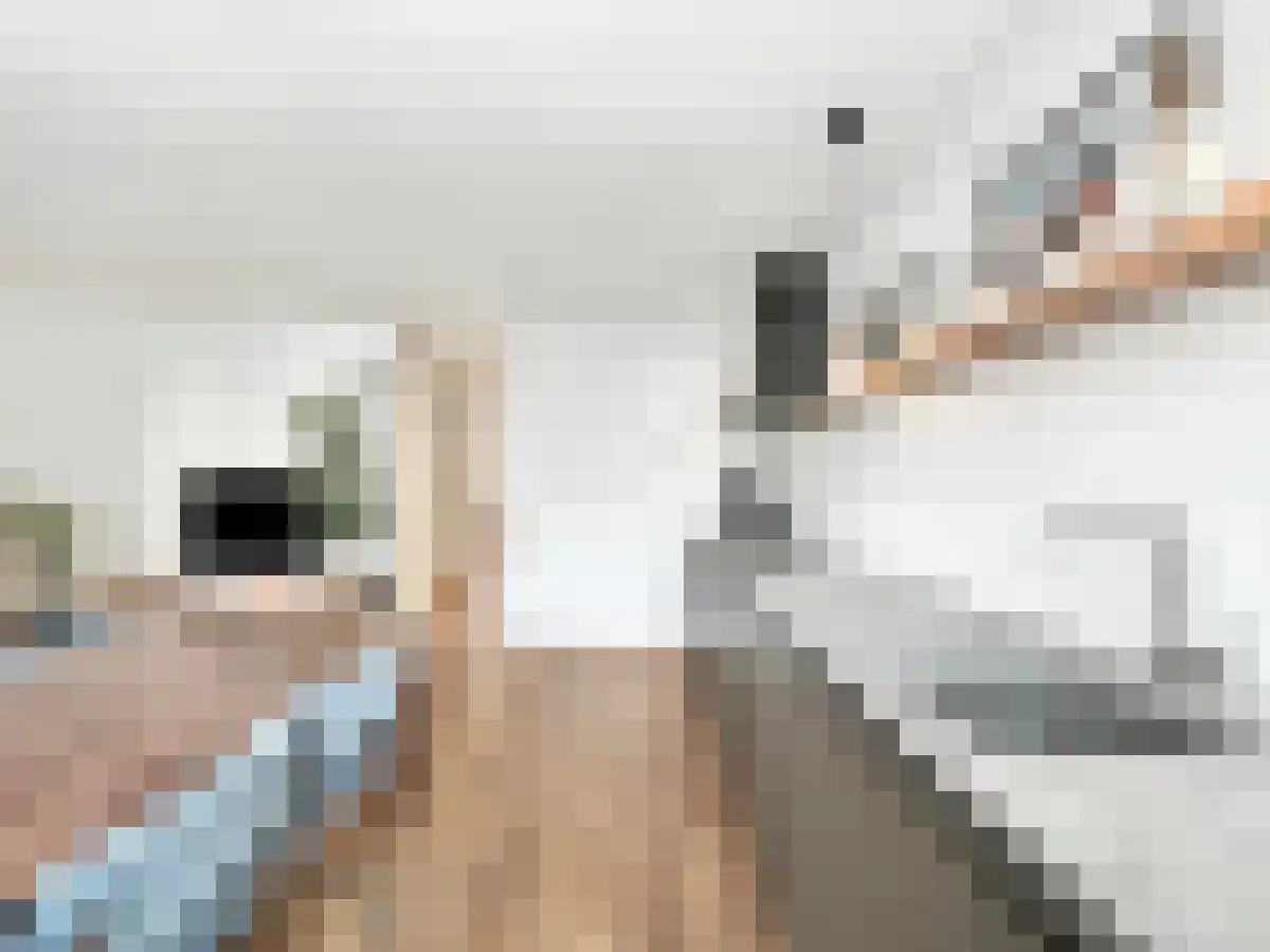 Hoofdweg 154 Amsterdam thumbnail 5