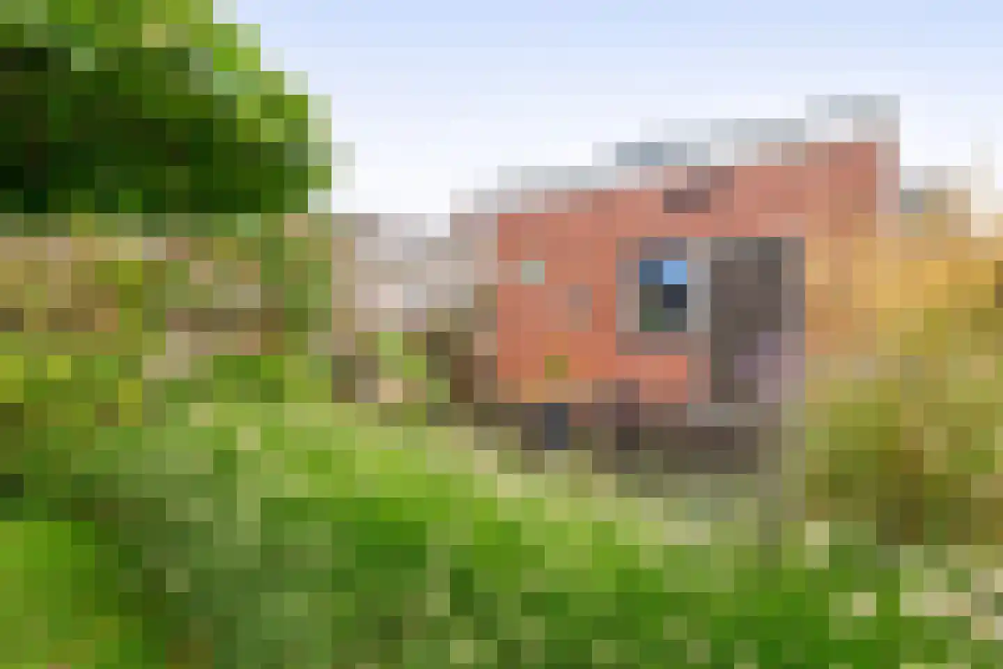 Hoofdweg 155 Midwolda thumbnail 39