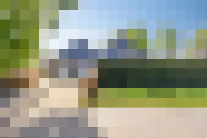 Hoofdweg 156 A Westerlee thumbnail 43