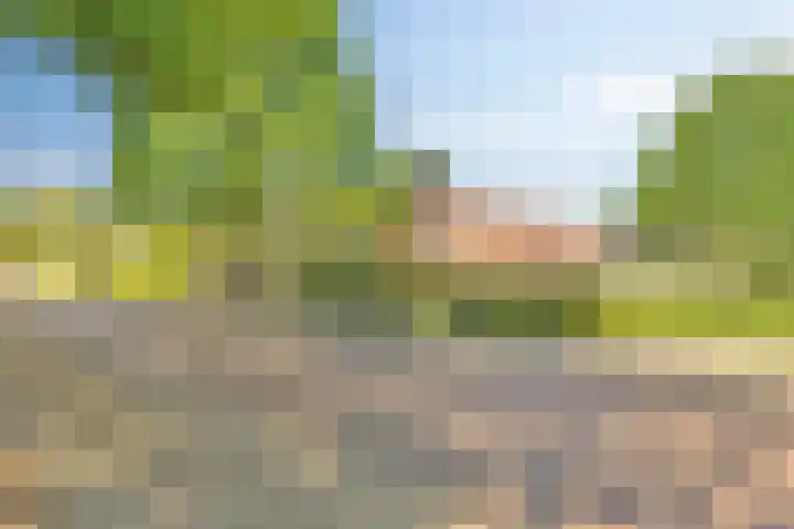 Hoofdweg 156 A Westerlee thumbnail 44