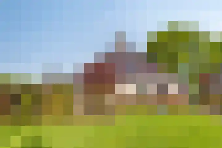 Hoofdweg 156 A Westerlee thumbnail 6