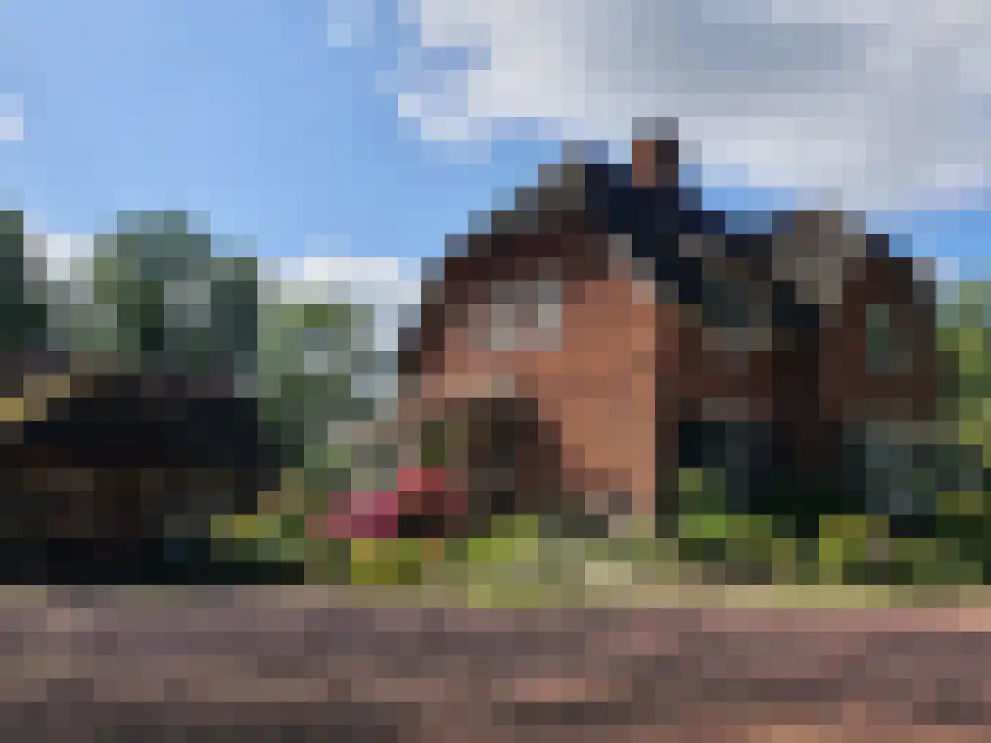 Hoofdweg 156 Lijnden