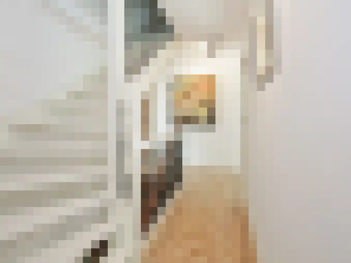 Hoofdweg 156 Lijnden thumbnail 27