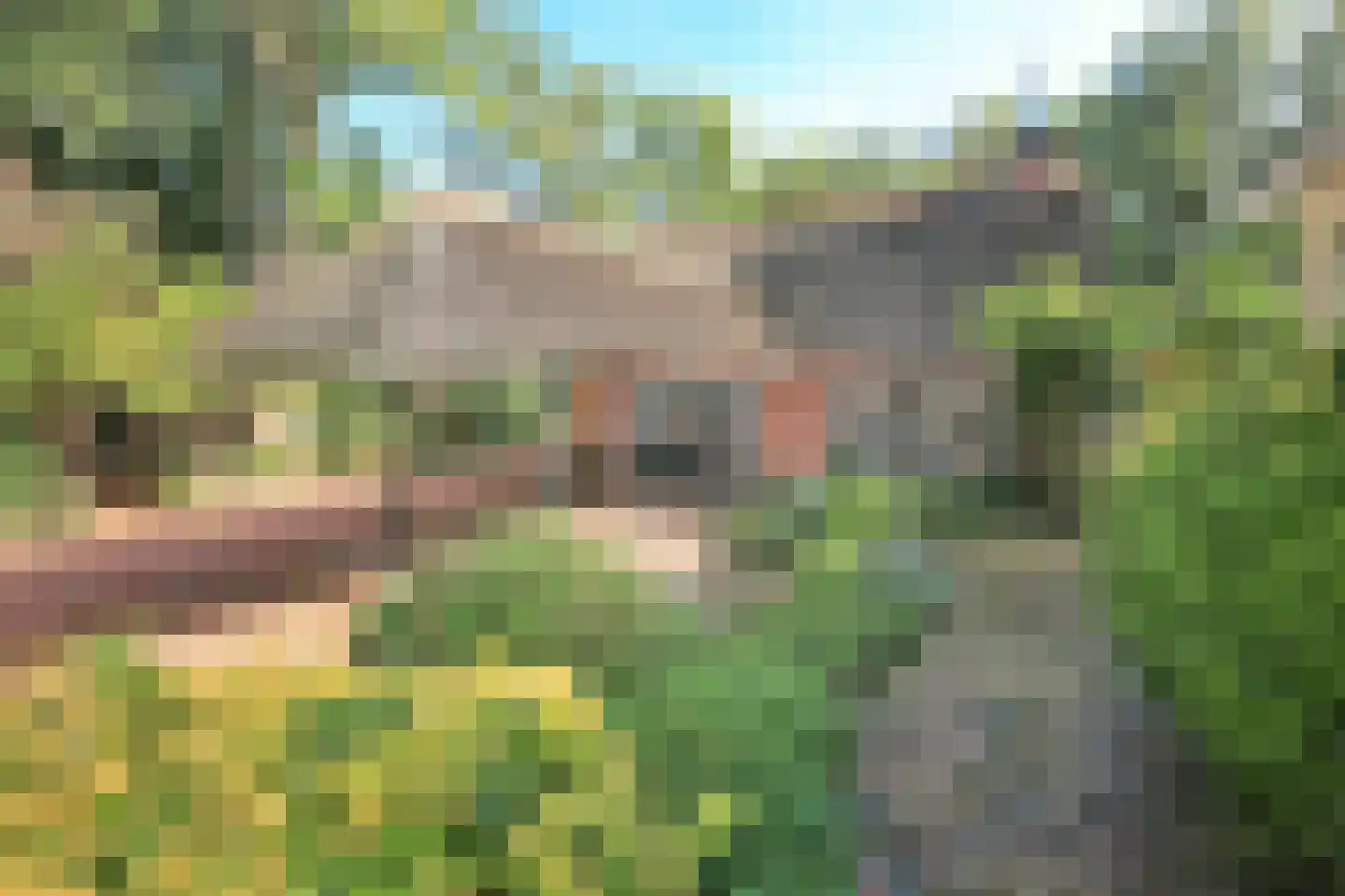 Hoofdweg 156 Lijnden thumbnail 41