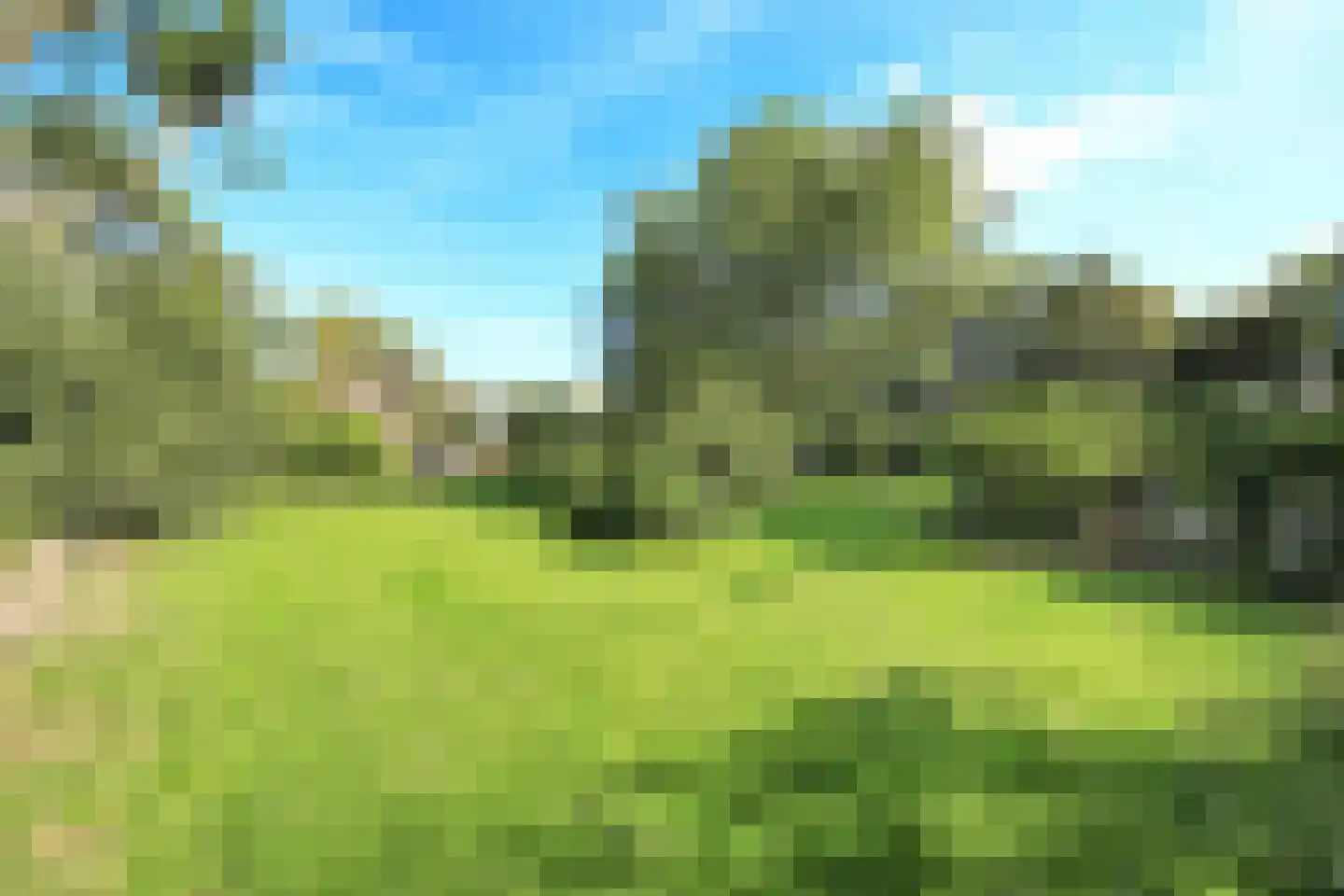 Hoofdweg 156 Lijnden thumbnail 68