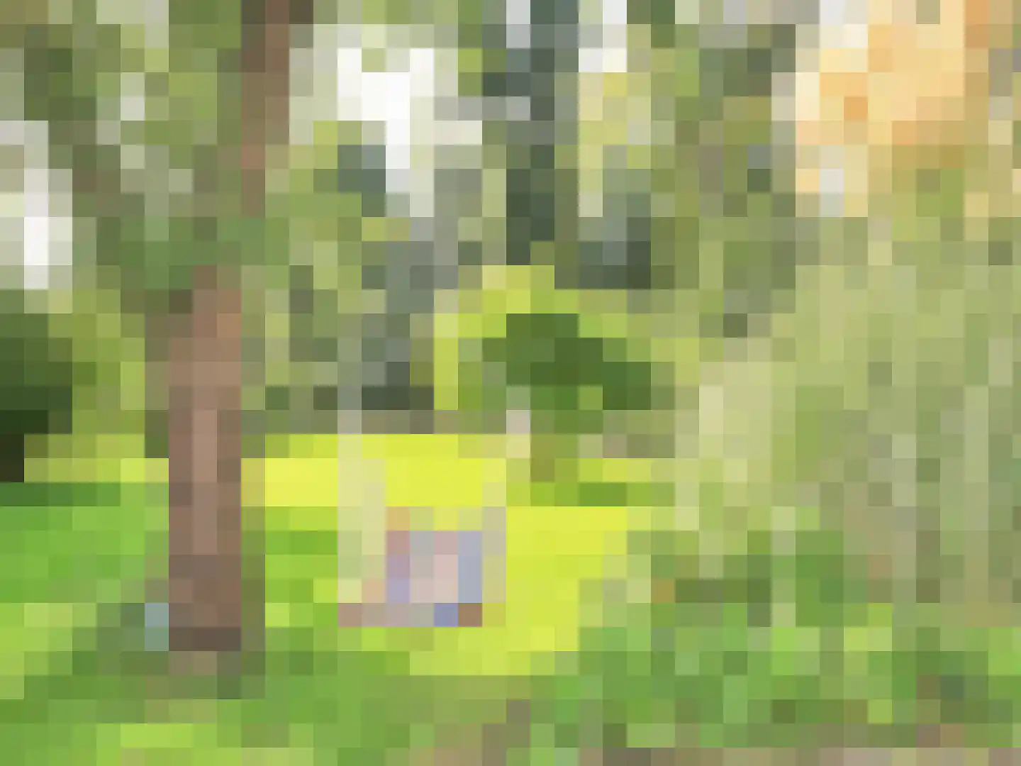 Hoofdweg 156 Lijnden thumbnail 69