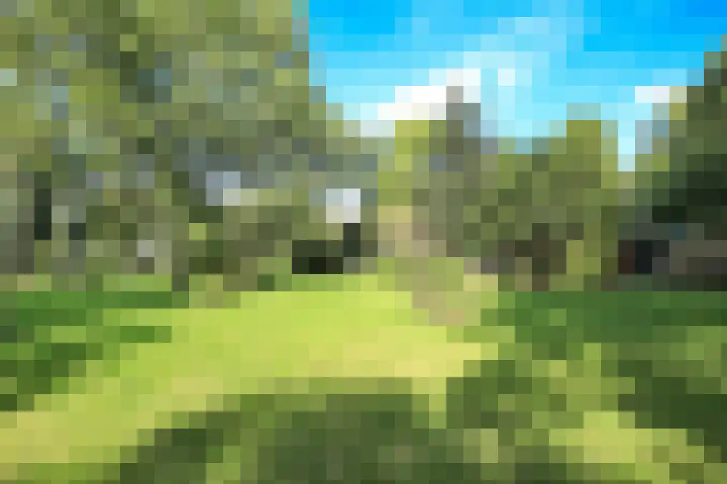 Hoofdweg 156 Lijnden thumbnail 70