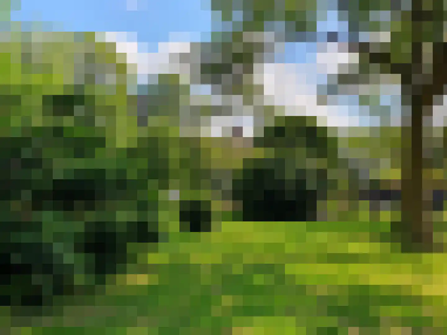 Hoofdweg 156 Lijnden thumbnail 8