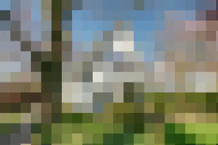 Hoofdweg 1575 in Abbenes