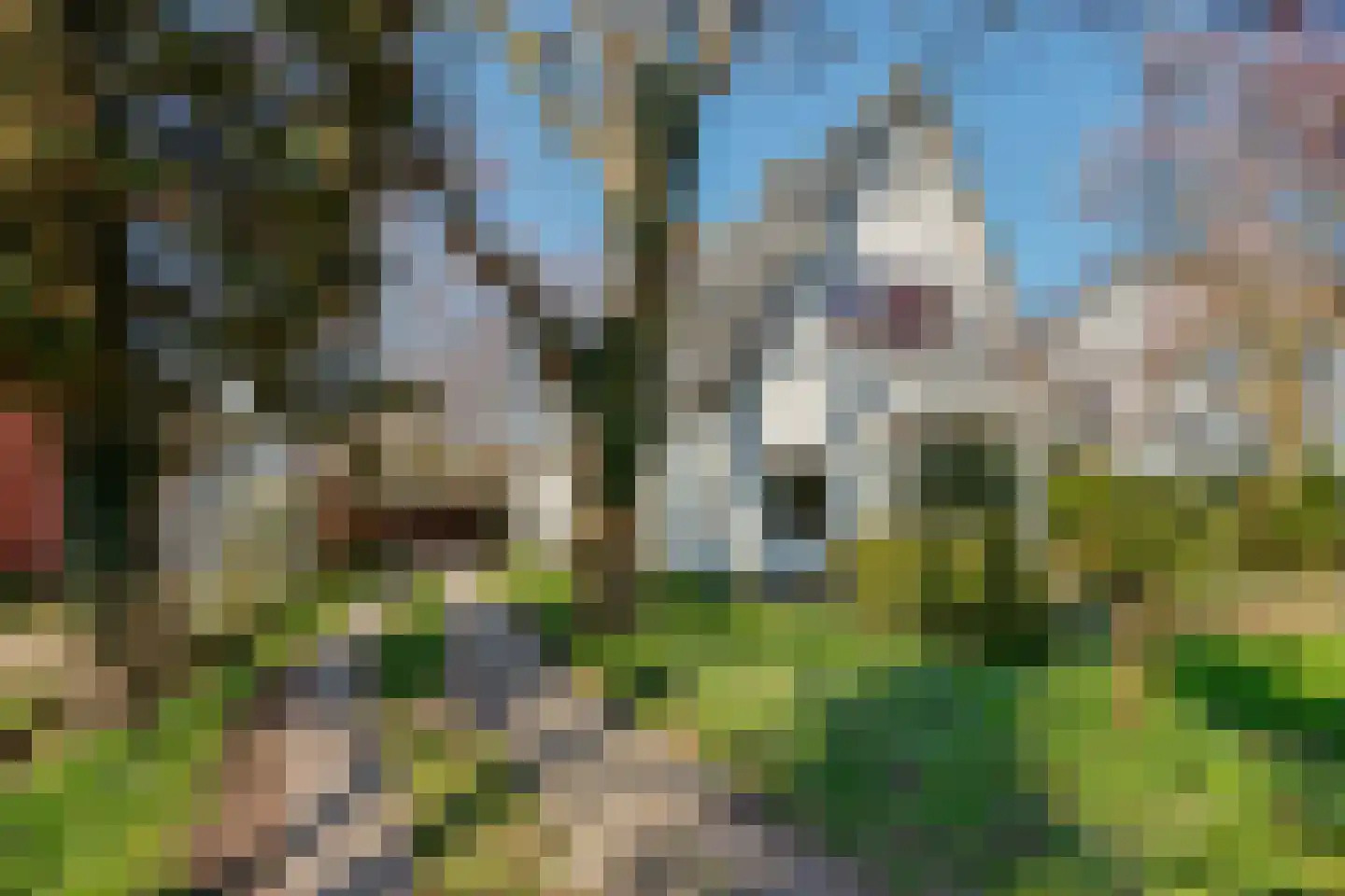 Hoofdweg 1575 Abbenes thumbnail 4