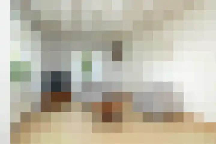 Hoofdweg 16 Stuifzand thumbnail 13