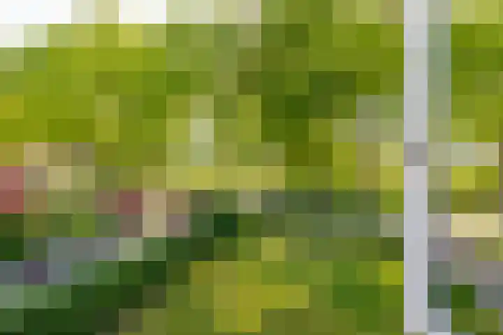 Hoofdweg 16 Stuifzand thumbnail 34