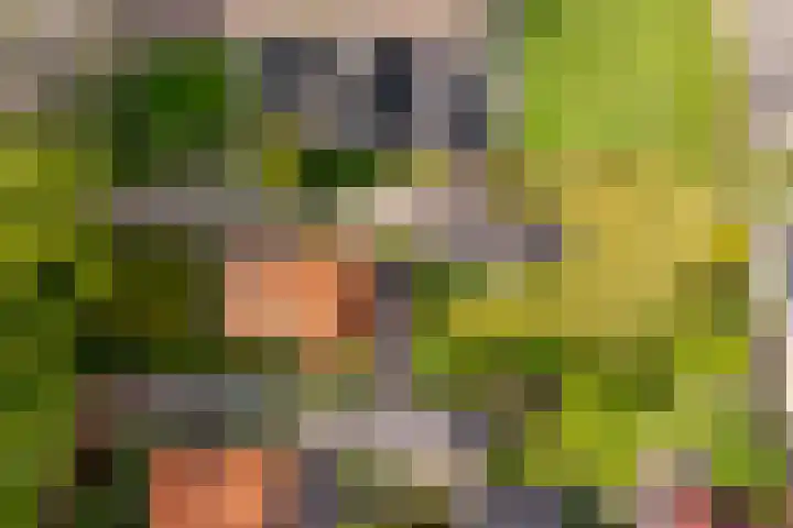 Hoofdweg 16 Stuifzand thumbnail 38