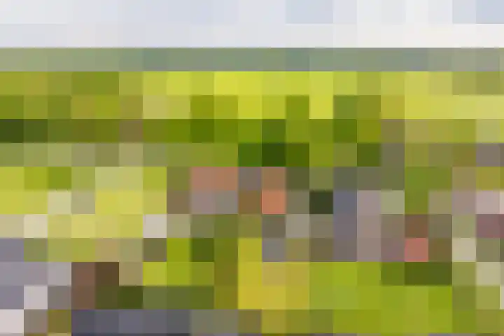 Hoofdweg 16 Stuifzand thumbnail 39