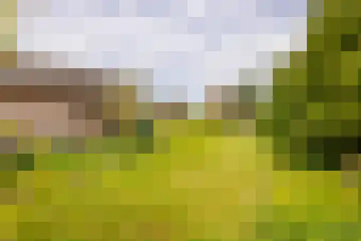 Hoofdweg 16 Stuifzand thumbnail 41