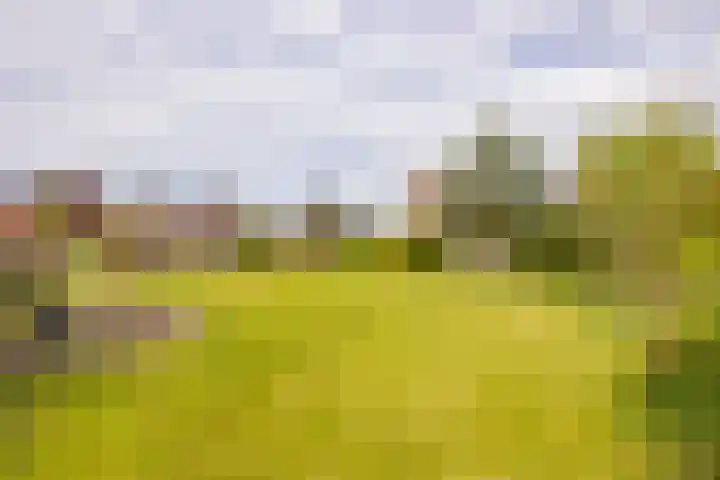 Hoofdweg 16 Stuifzand thumbnail 42