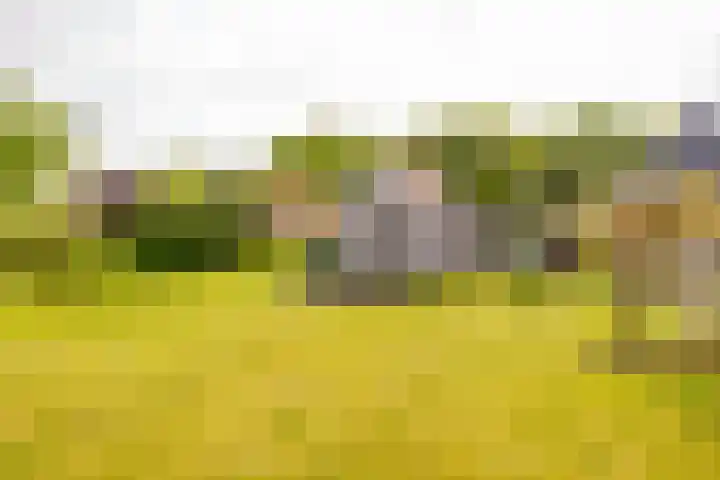 Hoofdweg 16 Stuifzand thumbnail 43