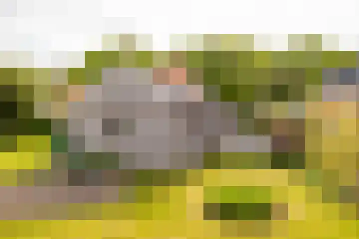 Hoofdweg 16 Stuifzand thumbnail 45