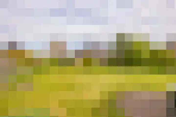 Hoofdweg 16 Stuifzand thumbnail 46