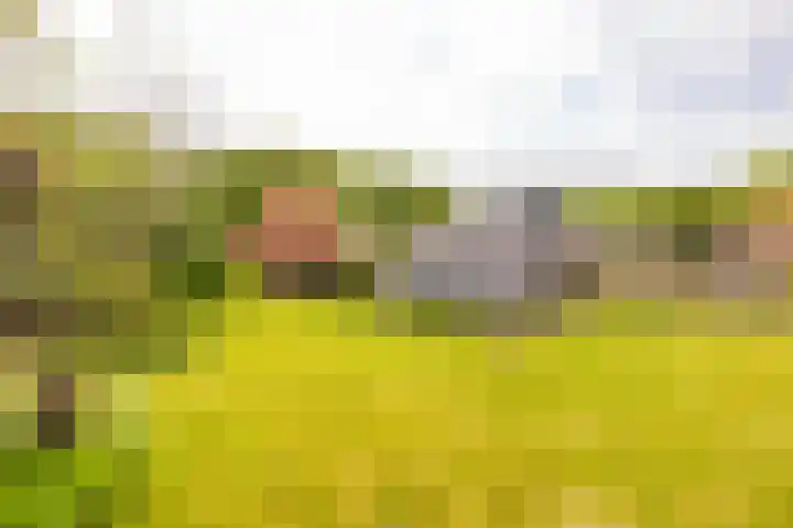 Hoofdweg 16 Stuifzand thumbnail 47