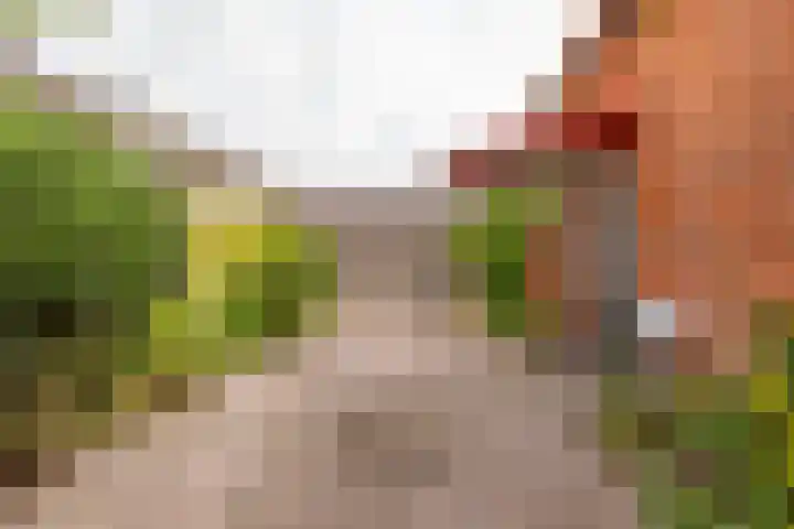 Hoofdweg 16 Stuifzand thumbnail 49