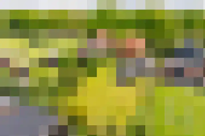Hoofdweg 16 Stuifzand thumbnail 5