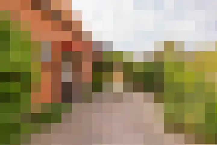 Hoofdweg 16 Stuifzand thumbnail 50