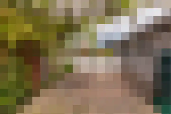 Hoofdweg 16 Stuifzand thumbnail 52