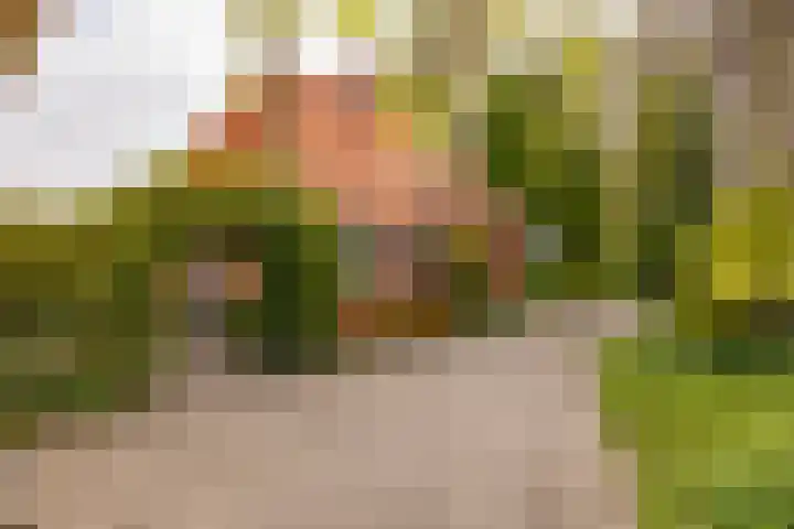 Hoofdweg 16 Stuifzand thumbnail 53
