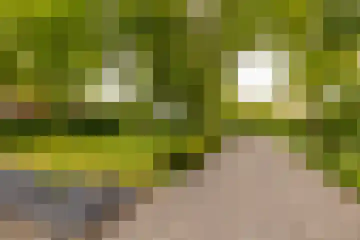 Hoofdweg 16 Stuifzand thumbnail 56