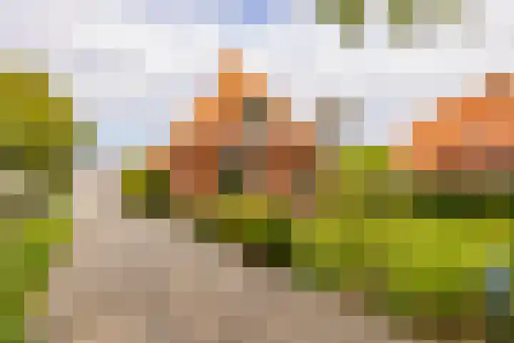 Hoofdweg 16 Stuifzand thumbnail 57