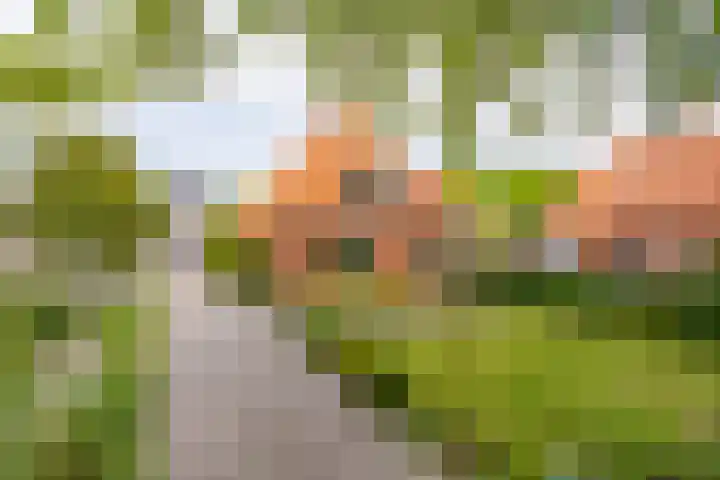 Hoofdweg 16 Stuifzand thumbnail 58