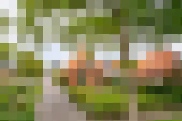 Hoofdweg 16 Stuifzand thumbnail 59