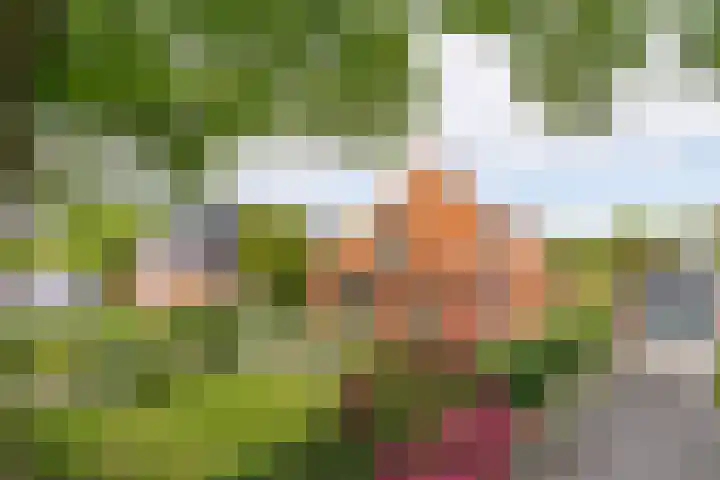 Hoofdweg 16 Stuifzand thumbnail 6