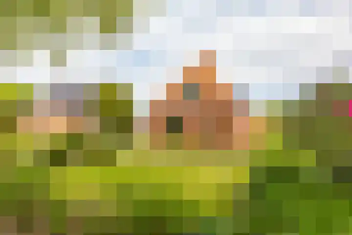 Hoofdweg 16 Stuifzand thumbnail 60