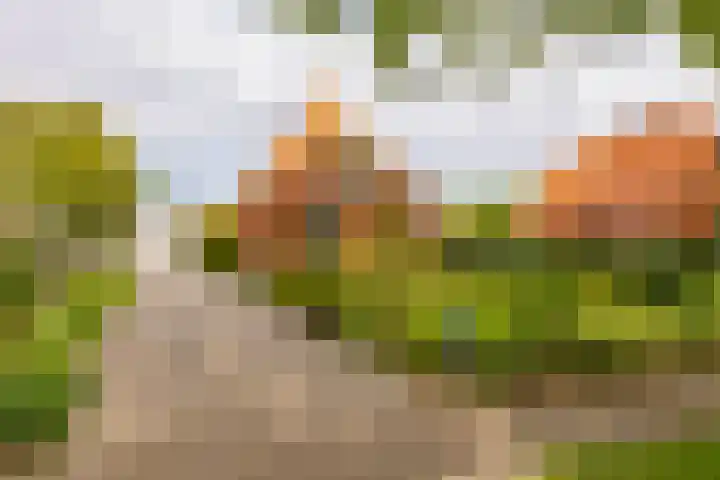 Hoofdweg 16 Stuifzand thumbnail 61