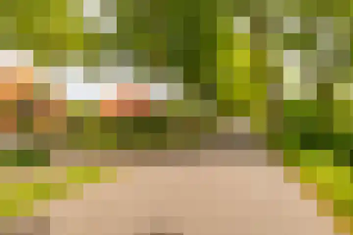 Hoofdweg 16 Stuifzand thumbnail 62
