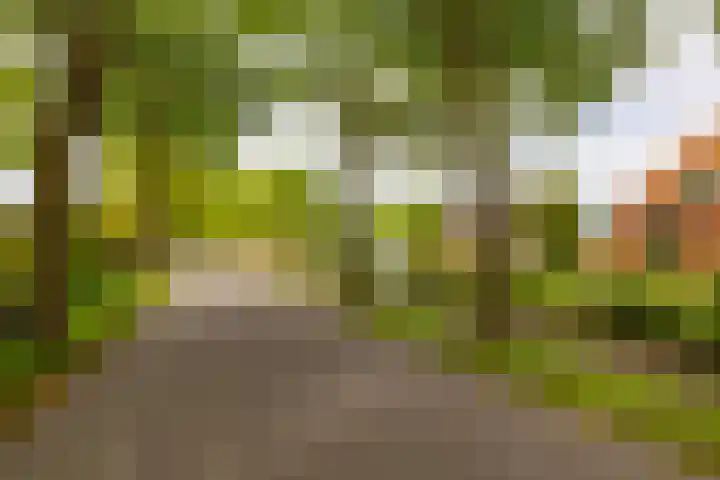 Hoofdweg 16 Stuifzand thumbnail 63