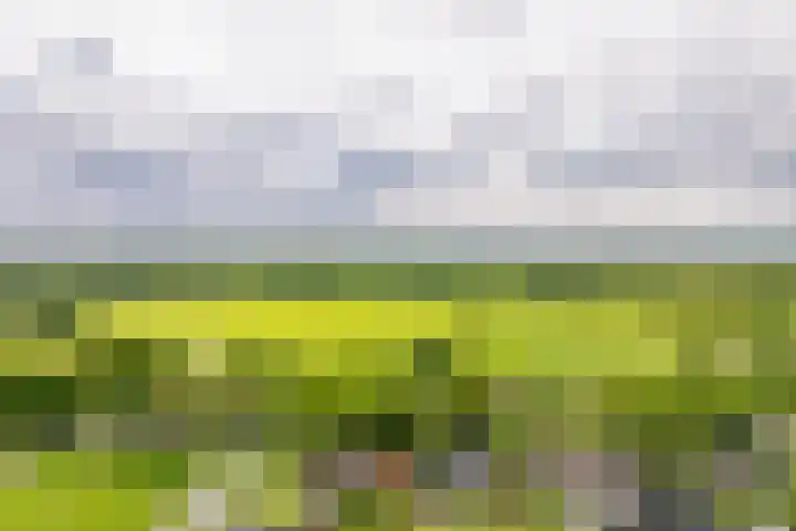 Hoofdweg 16 Stuifzand thumbnail 64