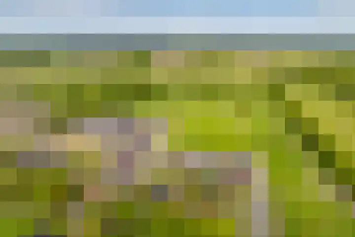 Hoofdweg 16 Stuifzand thumbnail 65