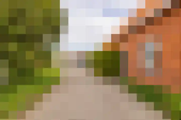 Hoofdweg 16 Stuifzand thumbnail 7