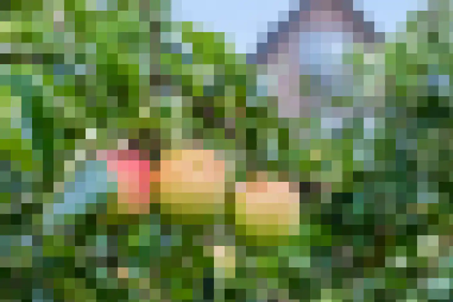Hoofdweg 160 Loenen thumbnail 37
